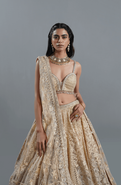 Beige Dream - Exquisite Net Lehenga Choli Outfit