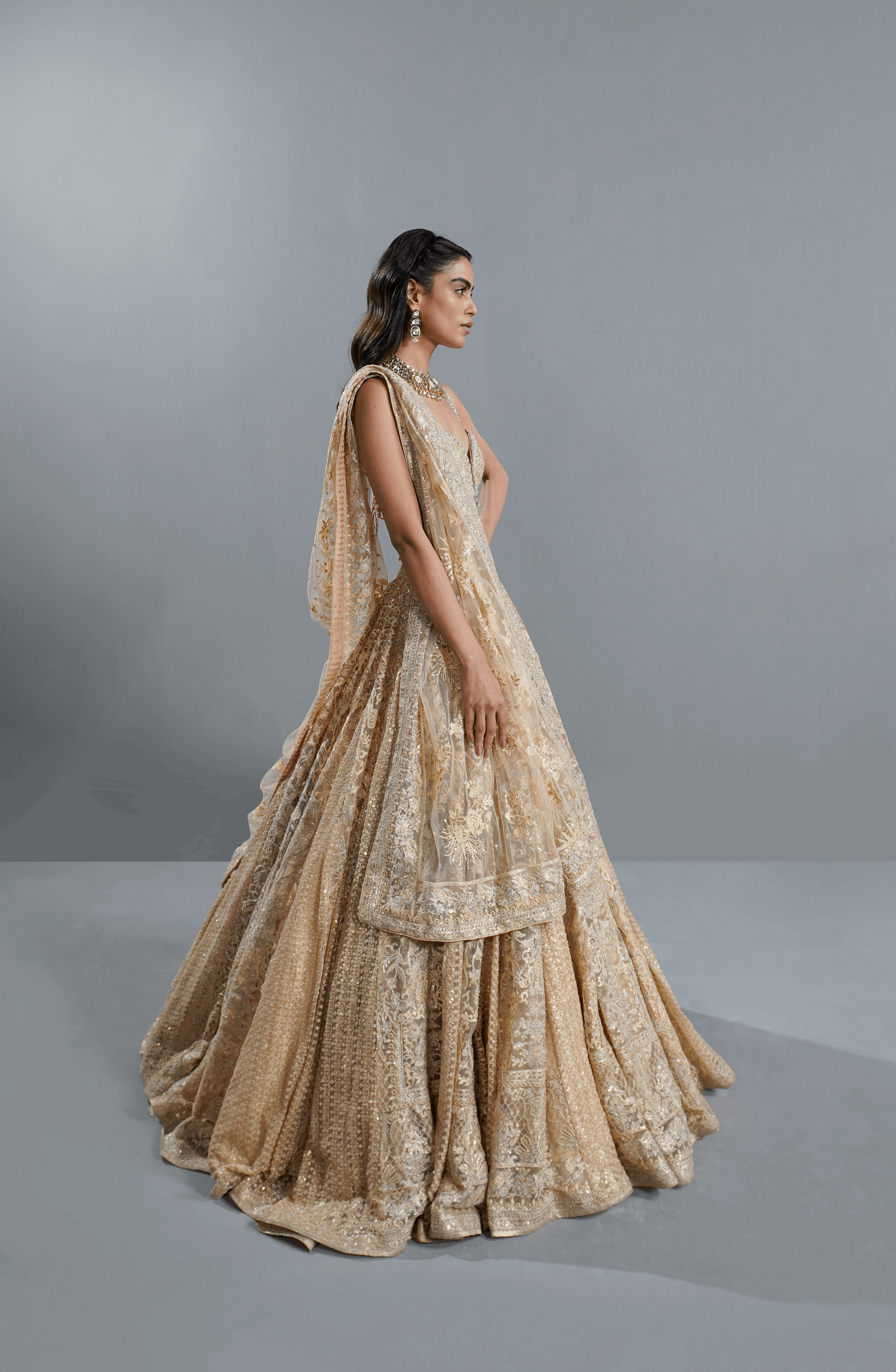 Beige Dream - Exquisite Net Lehenga Choli Outfit