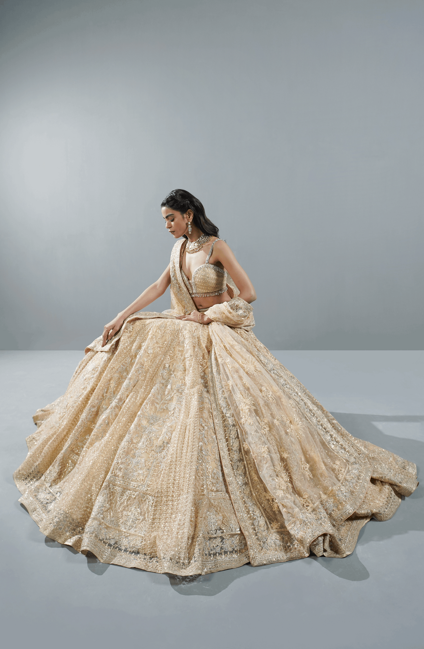 Beige Dream - Exquisite Net Lehenga Choli Outfit